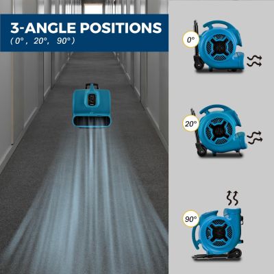 Фен/вентилятор для сушіння XPOWER P-800TH 700 Вт